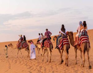 camel riding | Desert safari in Dibao