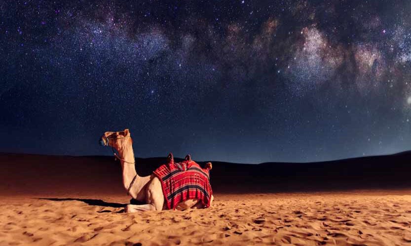 night desert in dubai