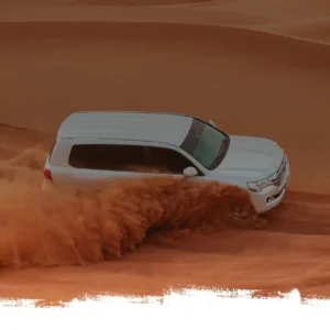 Dessert Safari