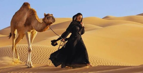 Camel rides dubai