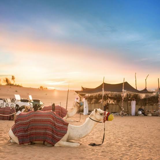 Dubai Cultural Tours