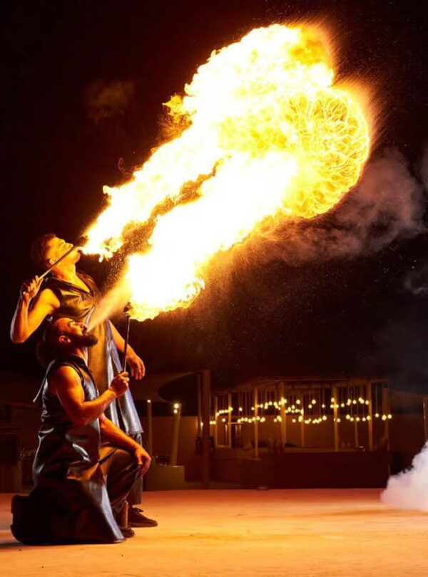 fire shows