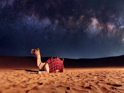 night desert in dubai